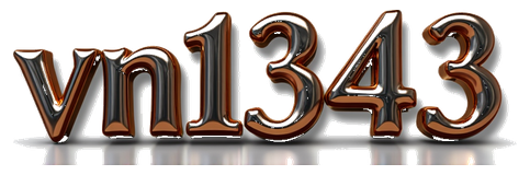 vn1343 logo